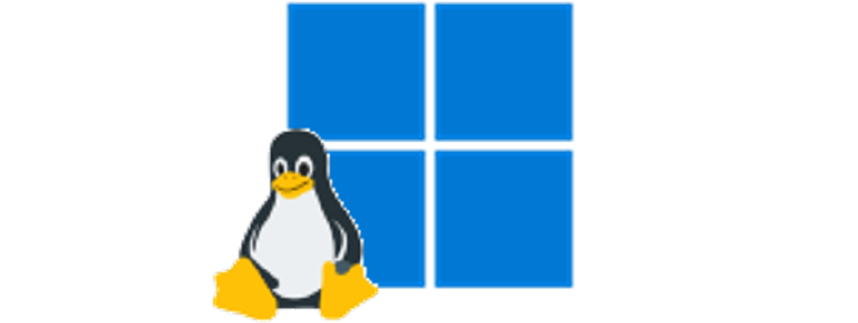 WSL2, WSLg 설치하기 (Windows 10/11)